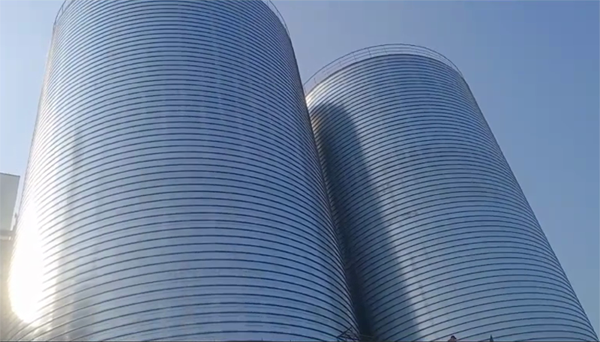 尖峰镇2座混凝土高架卷板仓